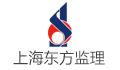 上海东方投资监理有限公司安徽分公司LOGO